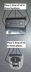 How to Oil Wahl Pro Blades Photo courtesy of Wahl Professional